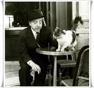 paris-entre-chats2