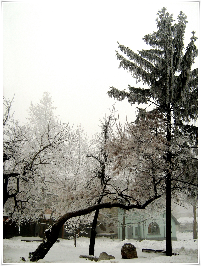 012 Winter - Vl.Dobrev